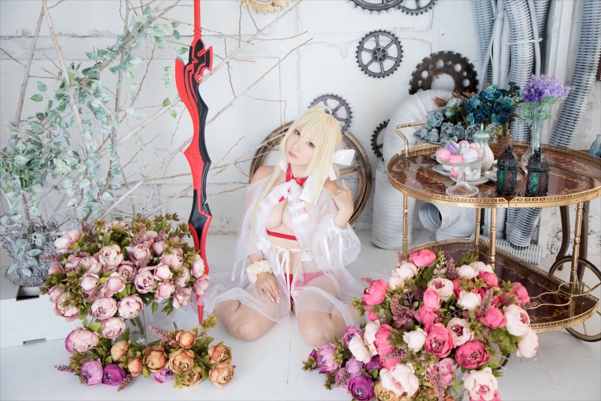 (C93) [Shooting Star's (Saku)] Nero Collection 233/340 