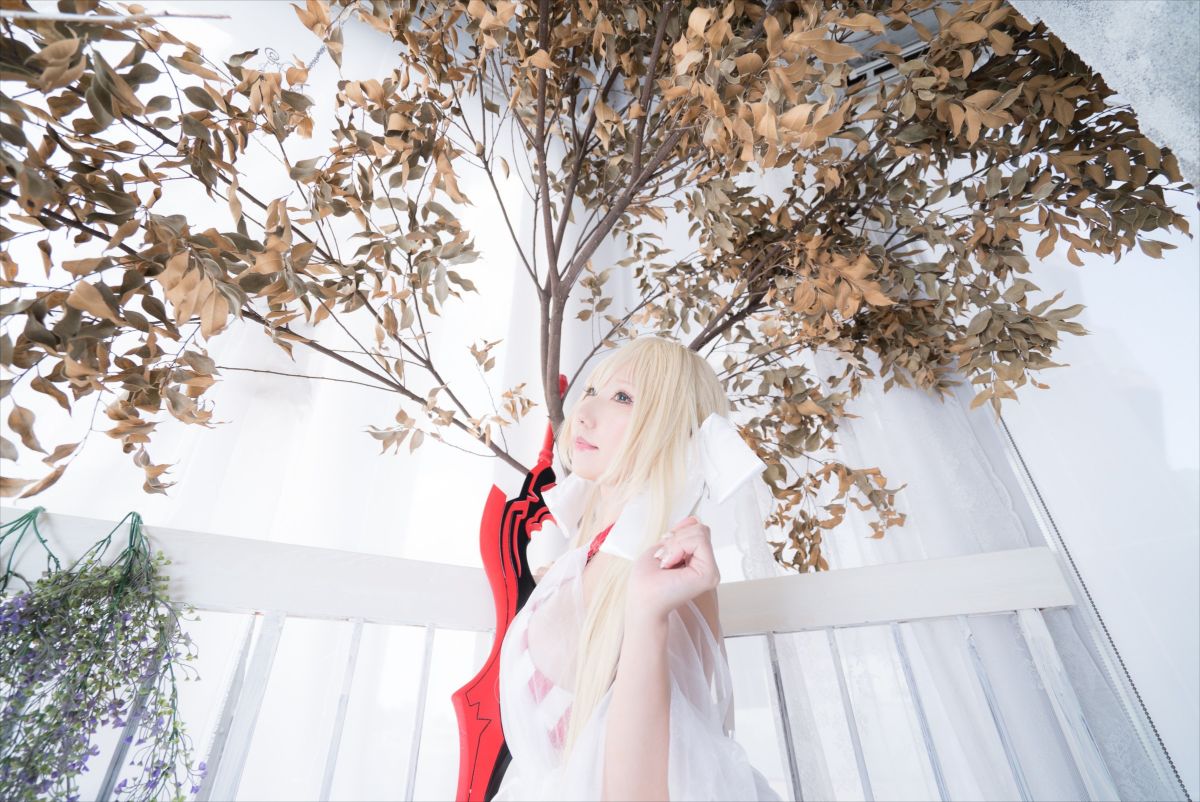 (C93) [Shooting Star's (Saku)] Nero Collection 245/340 