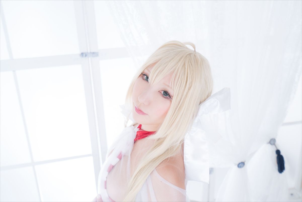 (C93) [Shooting Star's (Saku)] Nero Collection 251/340 