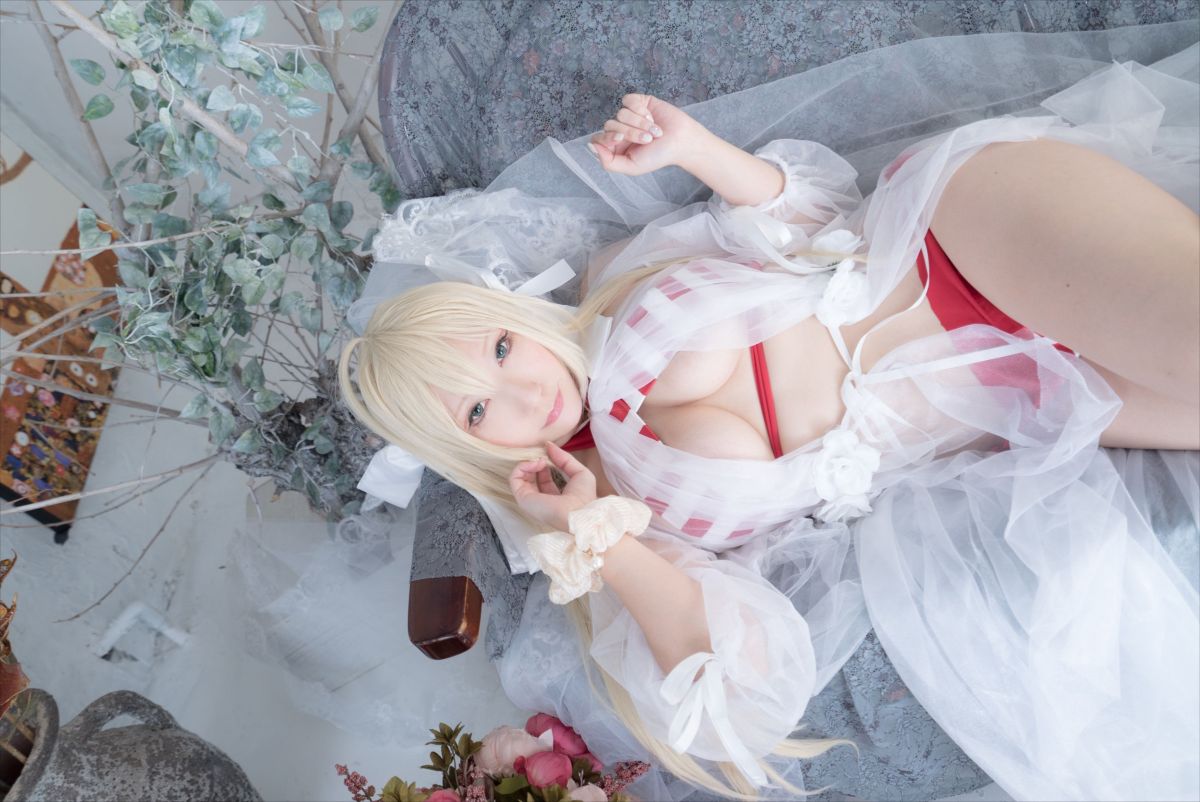 (C93) [Shooting Star's (Saku)] Nero Collection 258/340 