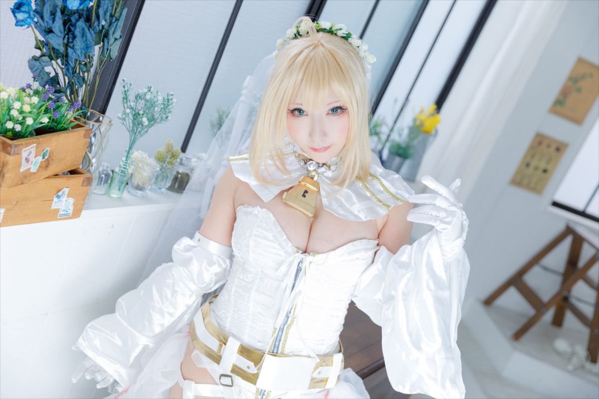 (C93) [Shooting Star's (Saku)] Nero Collection 265/340 