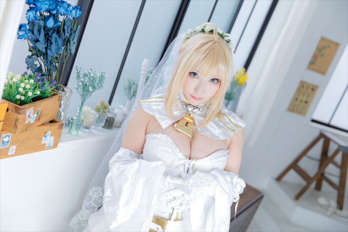 (C93) [Shooting Star's (Saku)] Nero Collection 266/340 