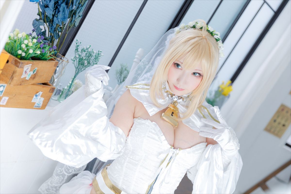 (C93) [Shooting Star's (Saku)] Nero Collection 267/340 