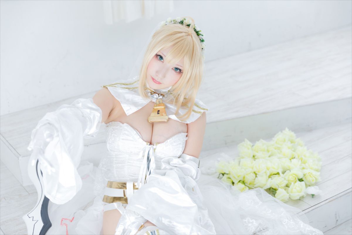 (C93) [Shooting Star's (Saku)] Nero Collection 278/340 