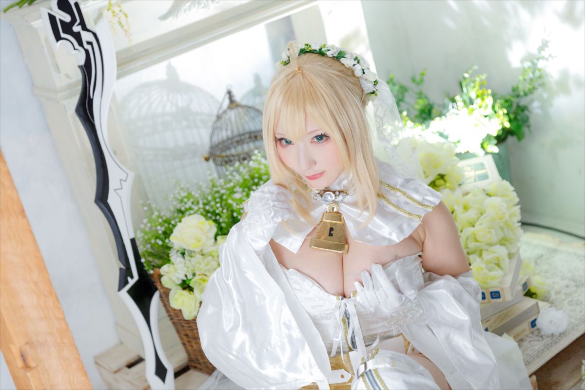 (C93) [Shooting Star's (Saku)] Nero Collection 304/340 