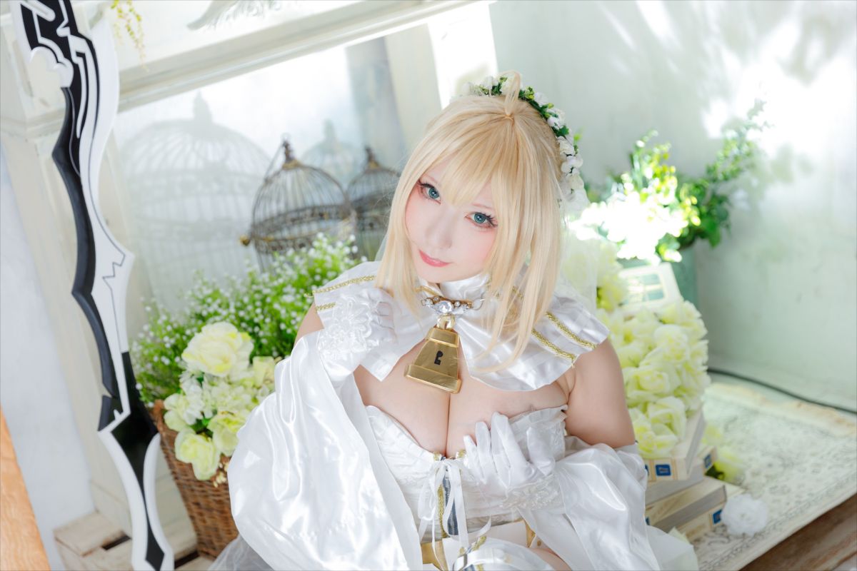 (C93) [Shooting Star's (Saku)] Nero Collection 305/340 