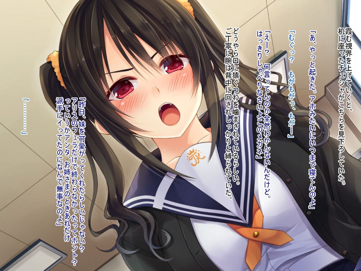 (同人CG集) [20+1 (はたち)] 淫魔姉妹に風紀指導!! 332/742 