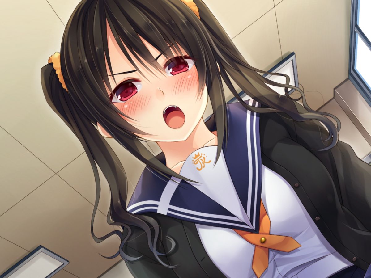 (同人CG集) [20+1 (はたち)] 淫魔姉妹に風紀指導!! 578/742 