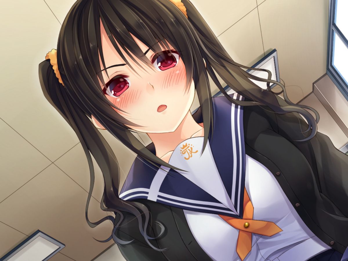 (同人CG集) [20+1 (はたち)] 淫魔姉妹に風紀指導!! 579/742 