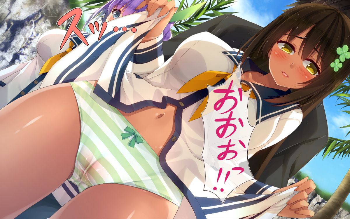 (同人CG集) [20+1] リゾートビーチで孕ませてっ! 528/774 