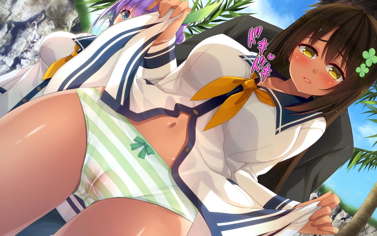 (同人CG集) [20+1] リゾートビーチで孕ませてっ! 529/774 