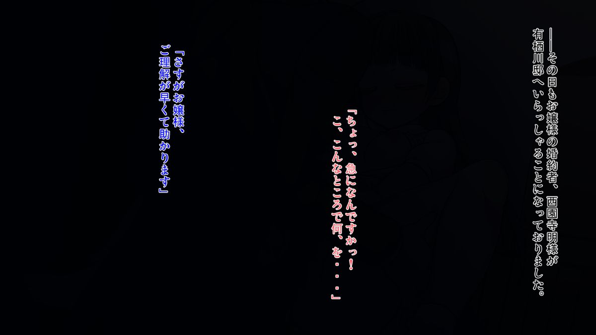 (同人CG集) [NO ACTOR] 令嬢寢取り 131/304 