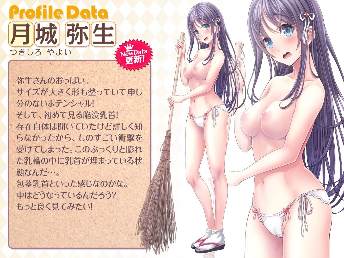 (同人CG集) [MAG館] 夜祭り露店 景品にされた乙女たち… 450/743 